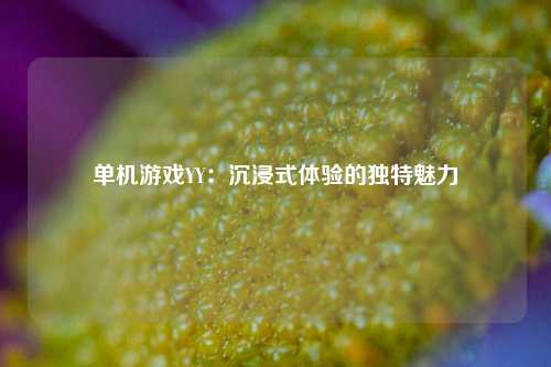 单机游戏YY：沉浸式体验的独特魅力
